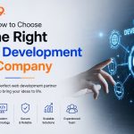 Web development